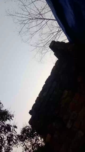 chiranjitho1  07-04-2021